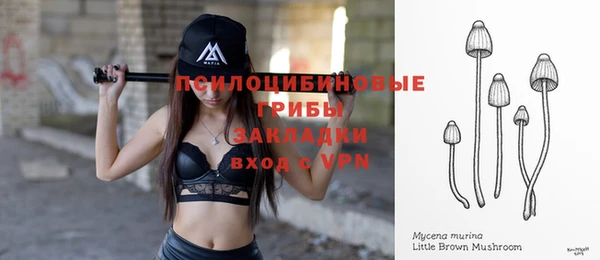 спиды Абинск