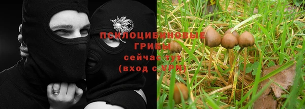 спайс Абаза