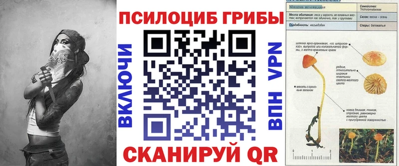 Псилоцибиновые грибы прущие грибы Абинск